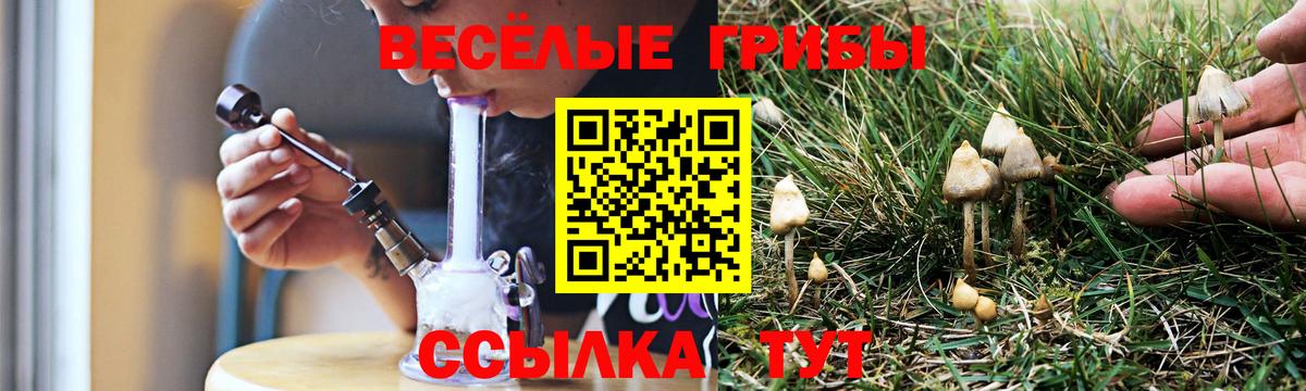 Ипатово  Псилоцибиновые грибы ЛСД  купить наркоту  Вход с VPN 
